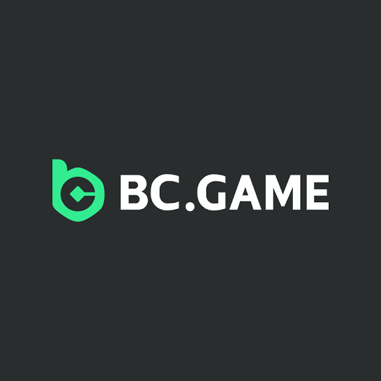 Understanding the BC.Game Login Process for a Seamless Experience